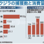 レス11番のサムネイル画像