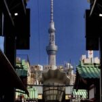 レス77番の画像1