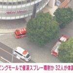 レス2番のリンク先のサムネイル画像