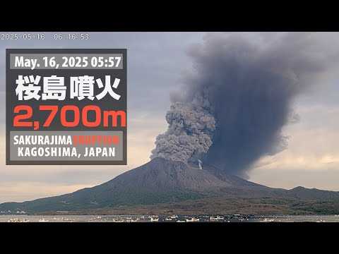 記事サムネイル