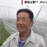 レス2番のリンク先のサムネイル画像