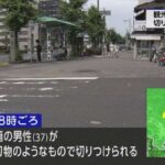 レス1番のリンク先のサムネイル画像