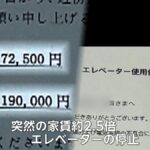 レス1番のリンク先のサムネイル画像