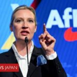 レス1番のリンク先のサムネイル画像