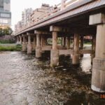 レス22番の画像1