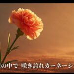 レス17番の画像1