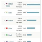 レス23番の画像1