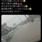 レス12番の画像1