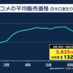 レス86番の画像1