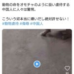 レス1番の画像1