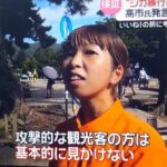 レス1番の画像2