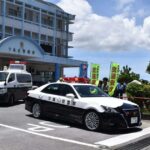 レス1番のリンク先のサムネイル画像