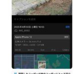 レス17番の画像1