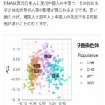 レス28番の画像1
