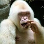 レス35番の画像1