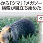 レス1番のリンク先のサムネイル画像