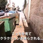 レス2番の画像5