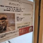 レス1番の画像3