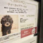 レス1番の画像4