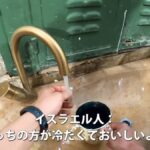 レス4番の画像2