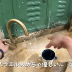 レス4番の画像3