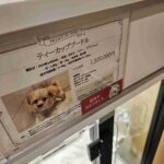 レス1番の画像2