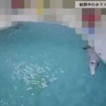 レス3番の画像1