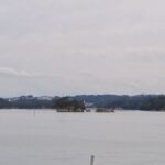 レス26番の画像1