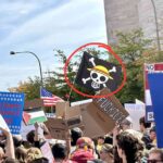 レス6番の画像1