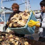 レス1番のリンク先のサムネイル画像