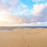 レス43番の画像1