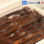 レス1番のリンク先のサムネイル画像