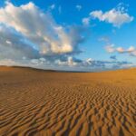 レス43番の画像2