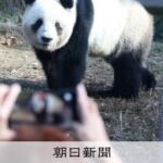 レス3番のリンク先のサムネイル画像