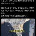 レス22番の画像1