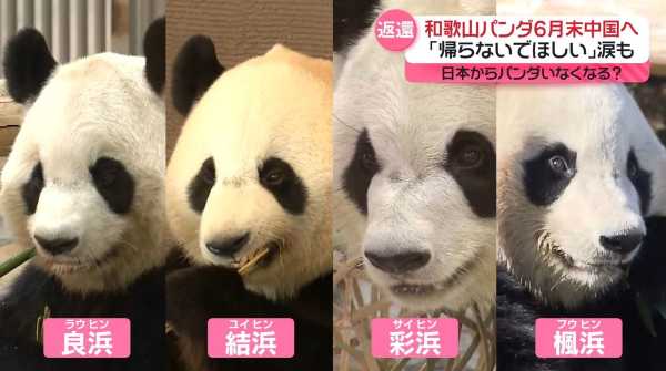 記事サムネイル