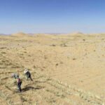 レス2番の画像1