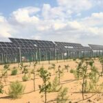 レス2番の画像3