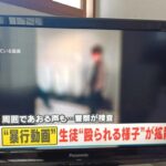 レス1番の画像1