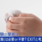 レス1番のリンク先のサムネイル画像