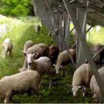 レス2番の画像6