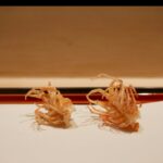 レス28番の画像6