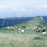 レス2番の画像4