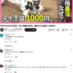 レス1番の画像1