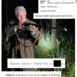 レス2番の画像1