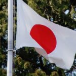 レス10番のリンク先のサムネイル画像