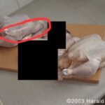 レス11番のリンク先のサムネイル画像