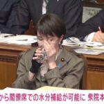 レス17番の画像1