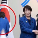 レス8番の画像1