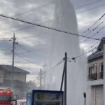 レス39番の画像1